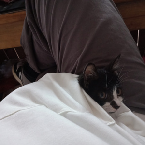 西施被爆❌吸乳羞羞漫画
