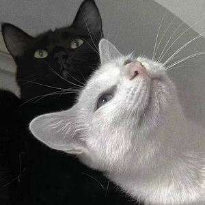 西施被爆❌吸乳羞羞漫画
